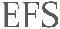logo efs new